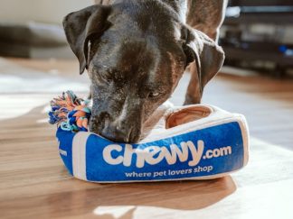 Kit Senior Complet Chien